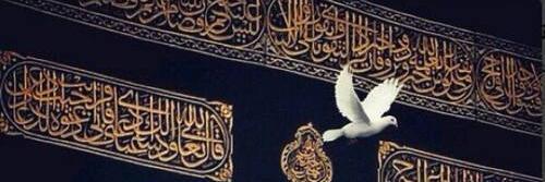 ashrouk104's profile banner image