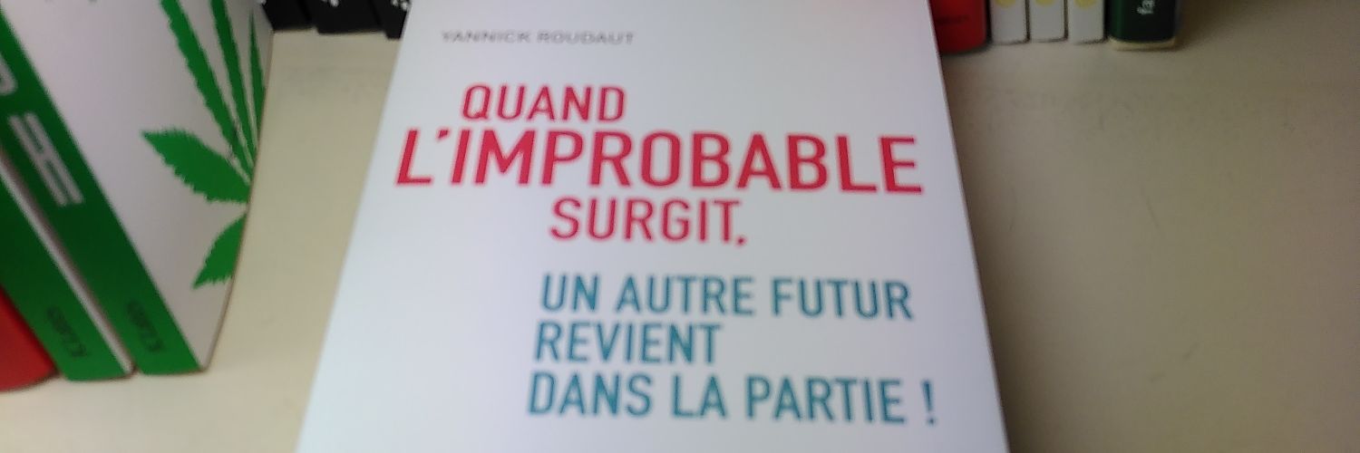 Yannick Roudaut banner