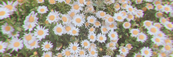 chisano714 Profile Banner