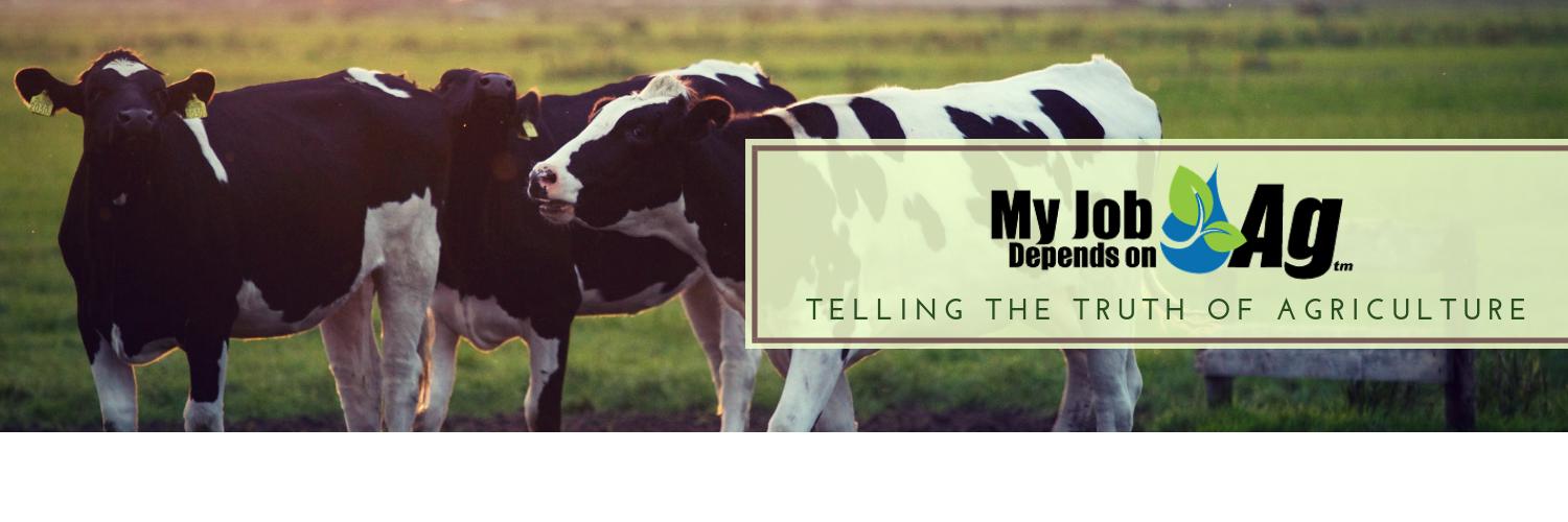 TheRealMJDOA's profile banner image
