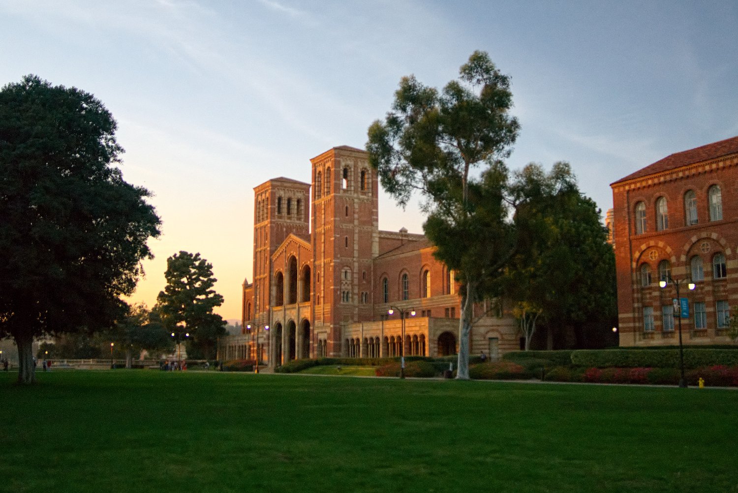 VCLA_UCLA's profile banner image