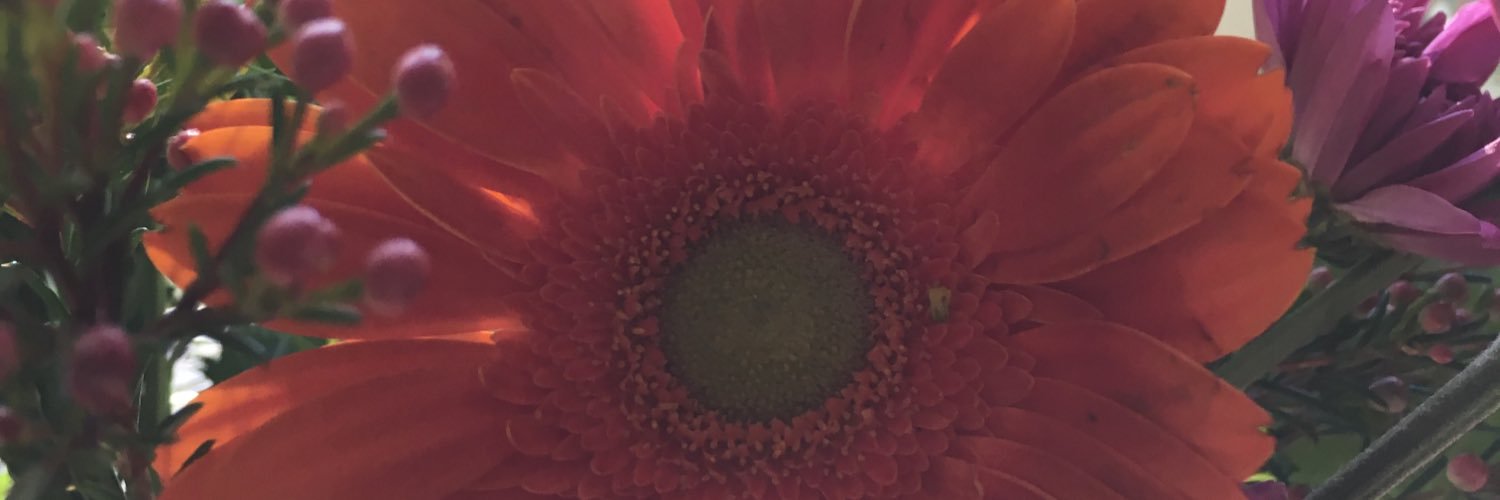 Deborah A. Schick banner