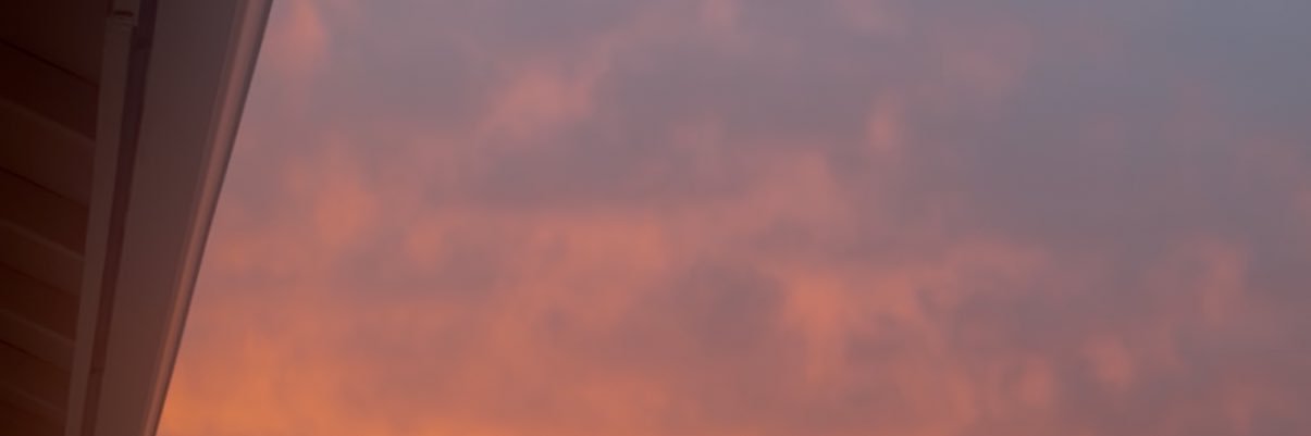 thatchicanameli's profile banner image