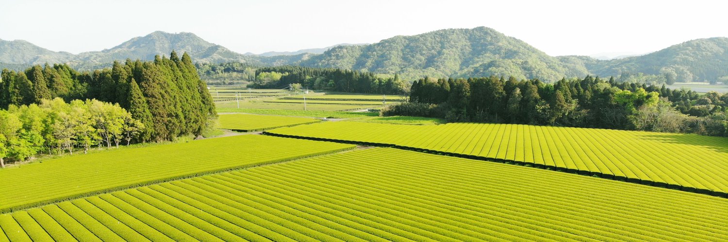 鹿児島堀口製茶 / 和香園 banner
