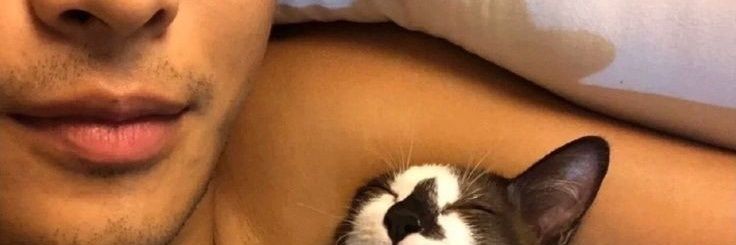 FFaulinaa's profile banner image