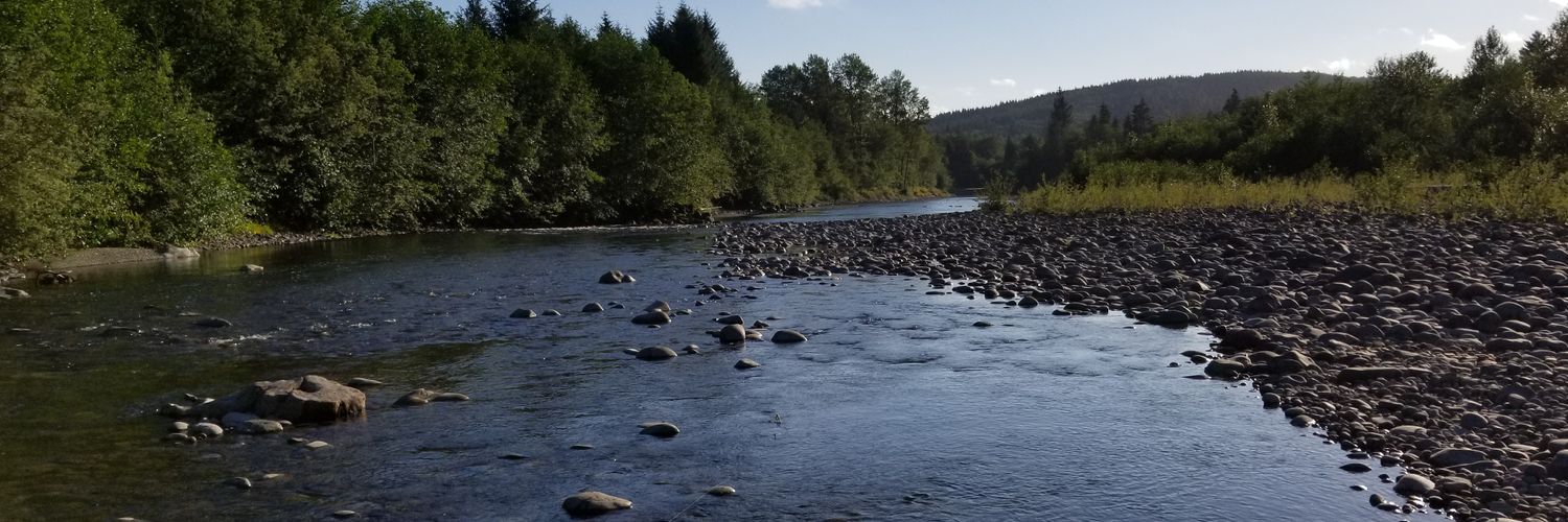 Thomas Hutchison banner