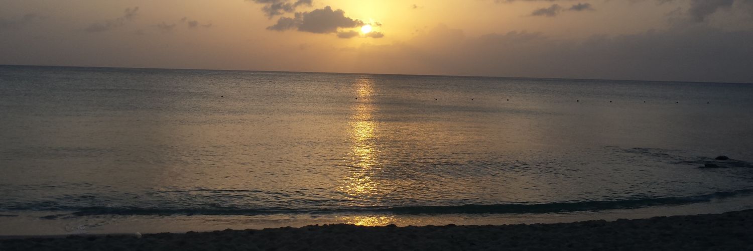 MichelleA_Hall's profile banner image