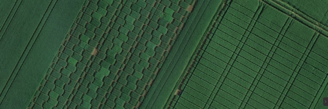 Neptunedroneservices banner