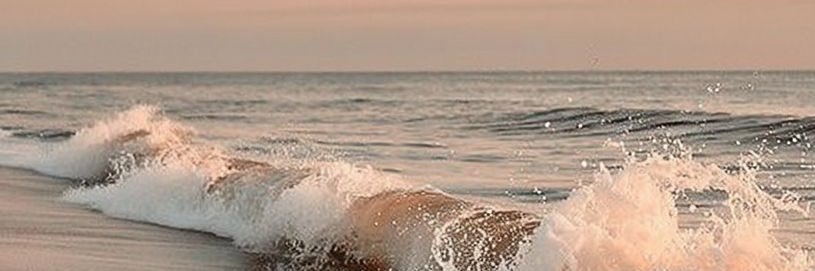 martinavaccaro_'s profile banner image