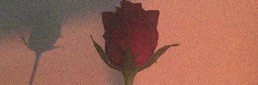 KCelineeeee's profile banner image