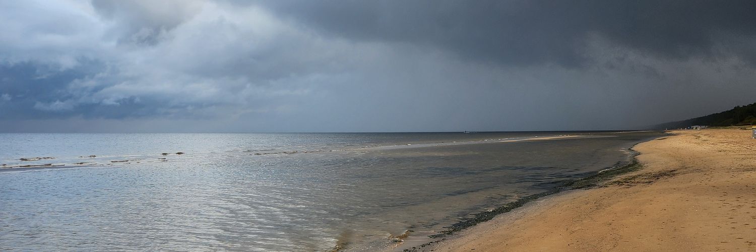 Linda Andžāne banner