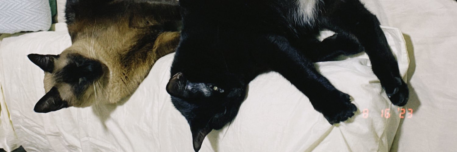 belmoreirac's profile banner image