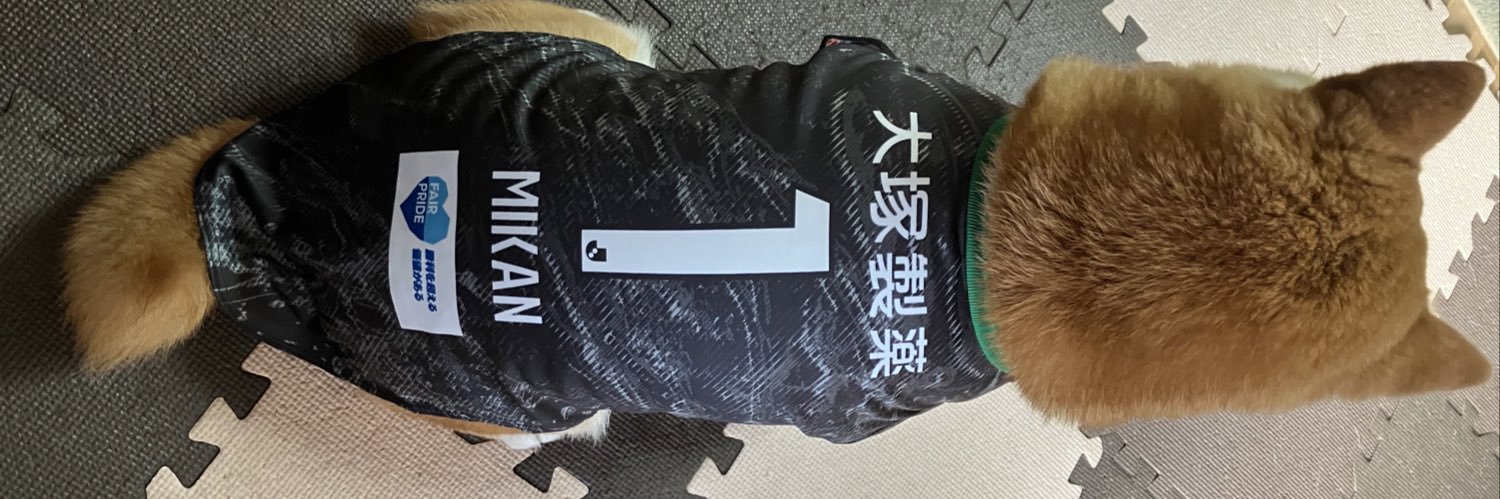 niechike's profile banner image