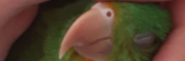 DylanQB's profile banner image