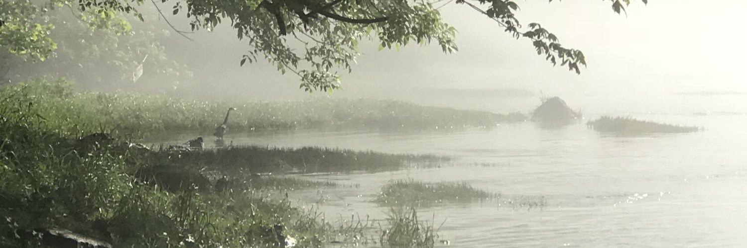 ChriswAllen's profile banner image