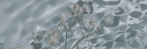 cream__v's profile banner image