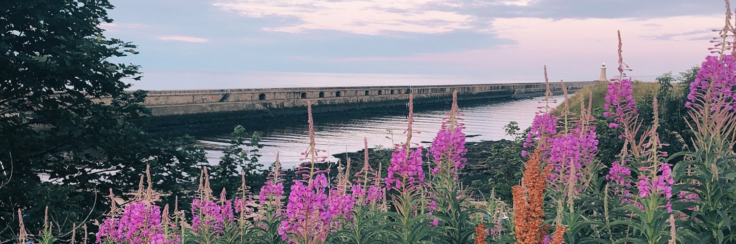 Charlotte Clancy Kerrigan banner