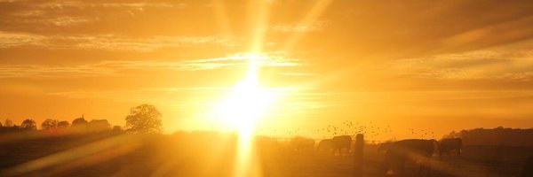 Mickeler Profile Banner