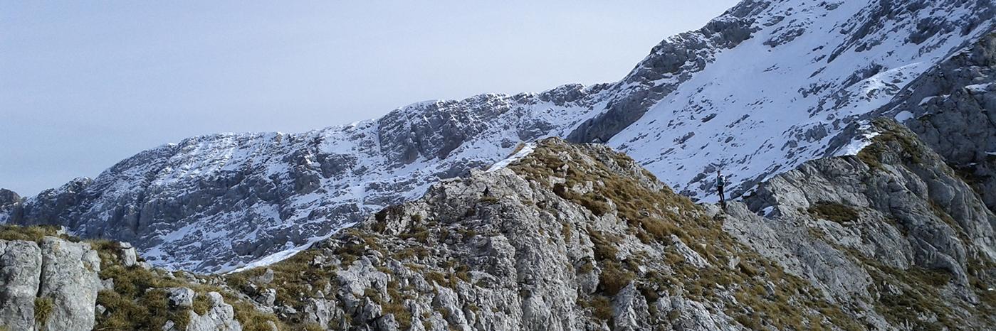 trailaddicted's profile banner image