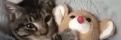 Autistic_Schizo's profile banner image