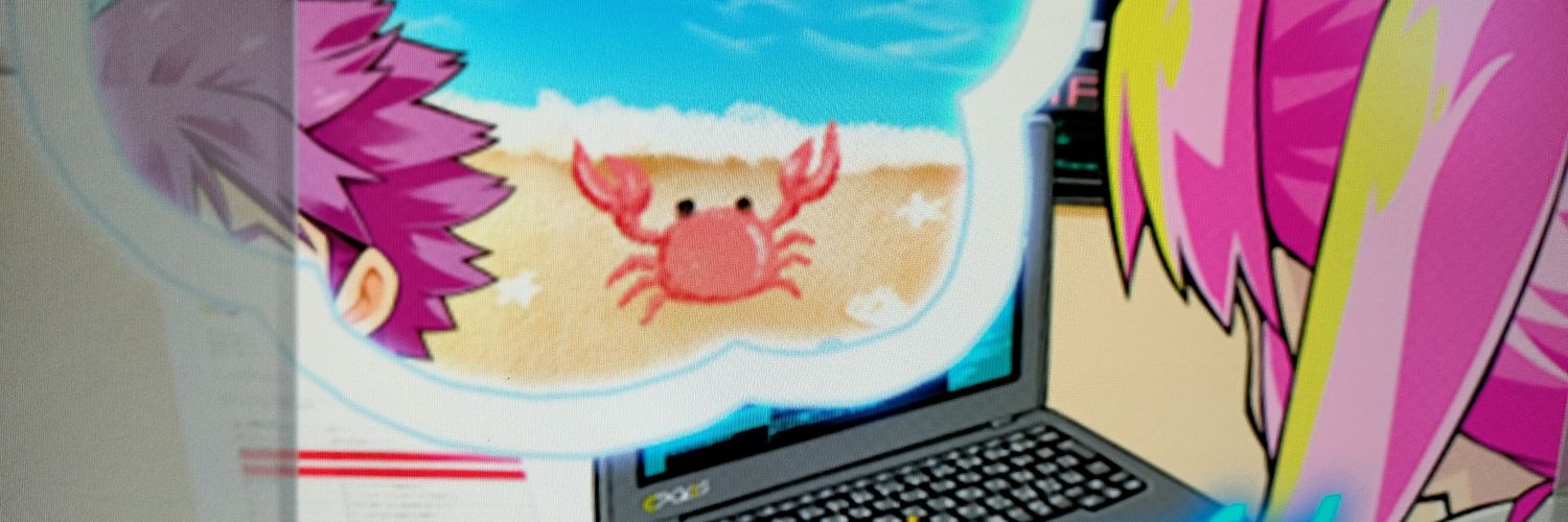 かにんす🐢 banner