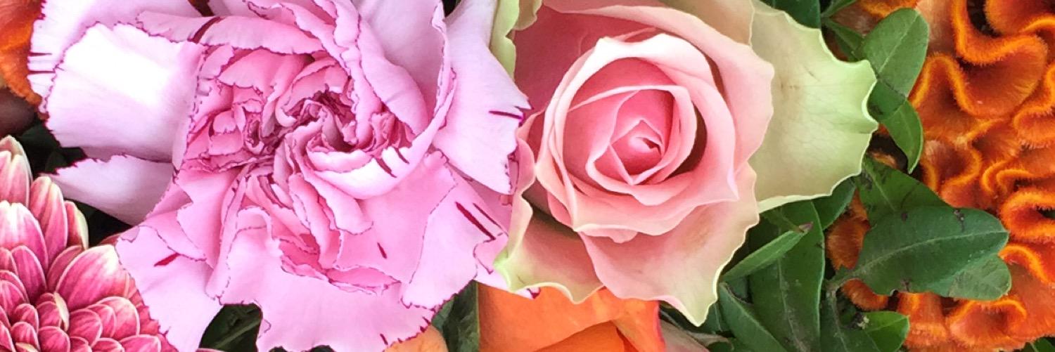 Isabelleallijns's profile banner image
