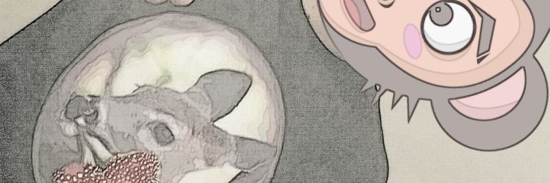 agnostic_alien's profile banner image