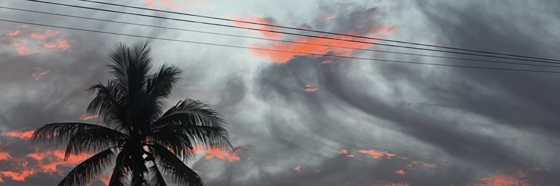 carminan8's profile banner image