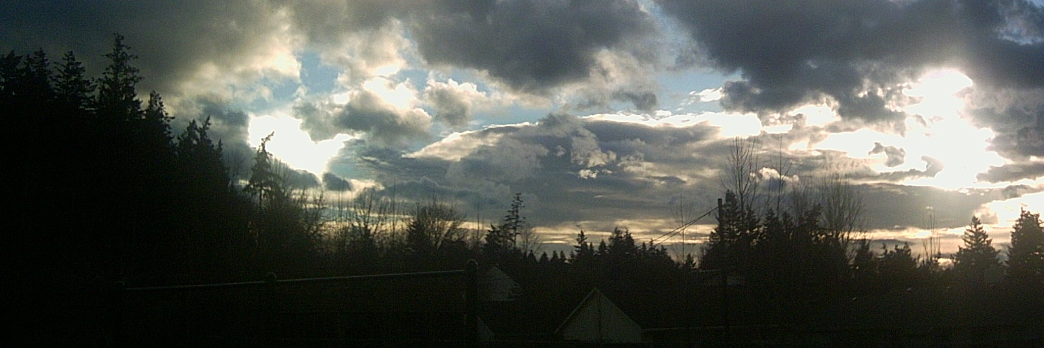 LeftCoastLeftst's profile banner image