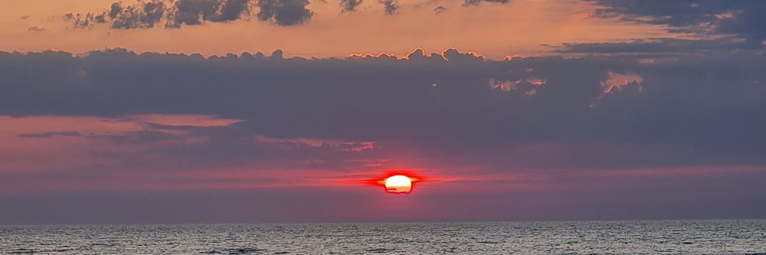 catanisi8's profile banner image