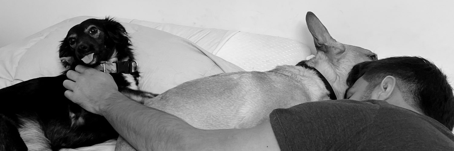 Carlota banner