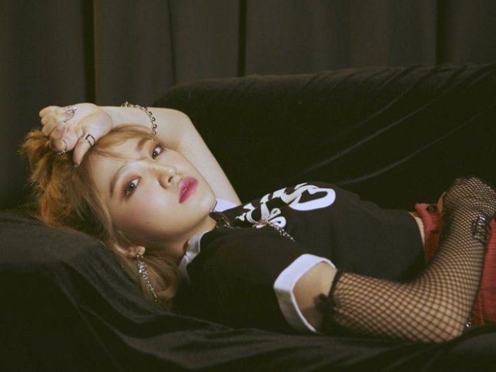 zoegaf's profile banner image