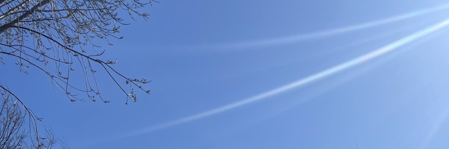 BossBroSimon's profile banner image