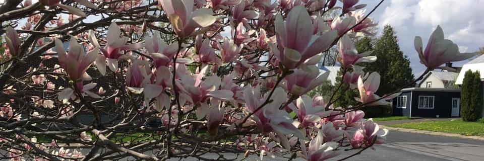 MariePhilippeGH's profile banner image