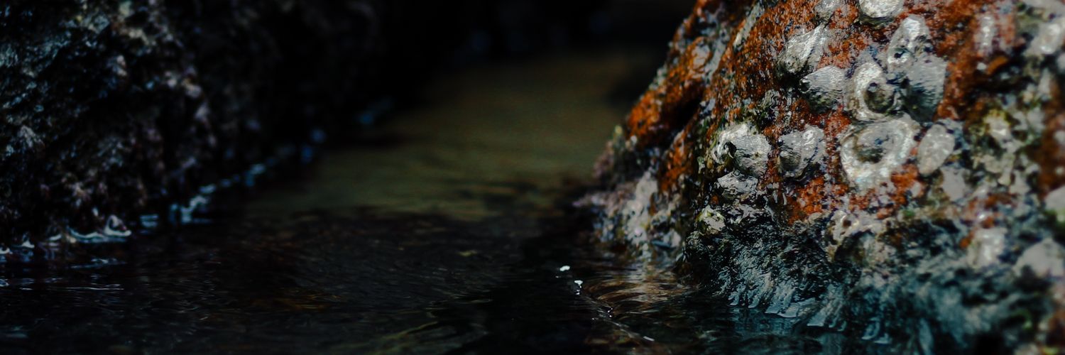 continlyg's profile banner image