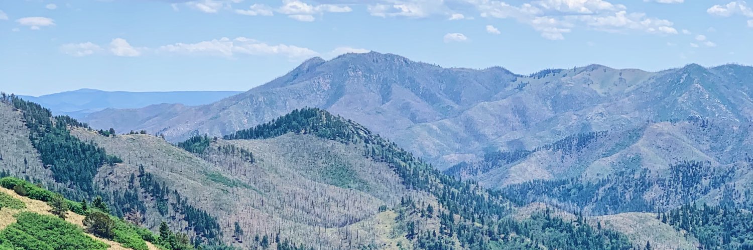 hannnahperry's profile banner image
