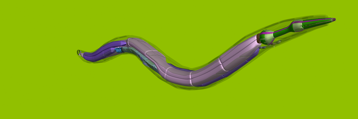 NEMATODE__'s profile banner image