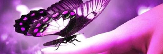 AndyB85's profile banner image