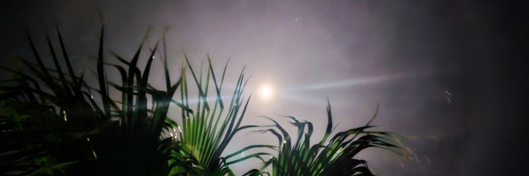 bedazzled74's profile banner image