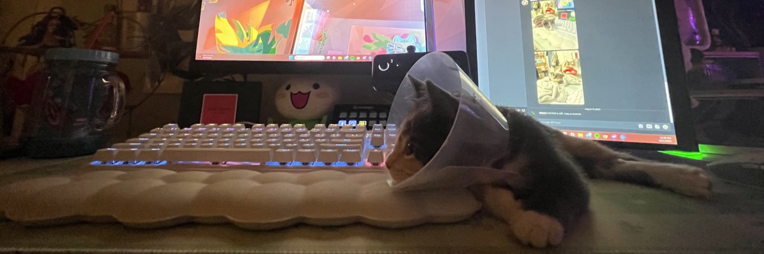 maybemaura's profile banner image
