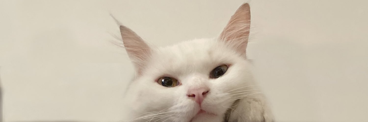 kencognito's profile banner image