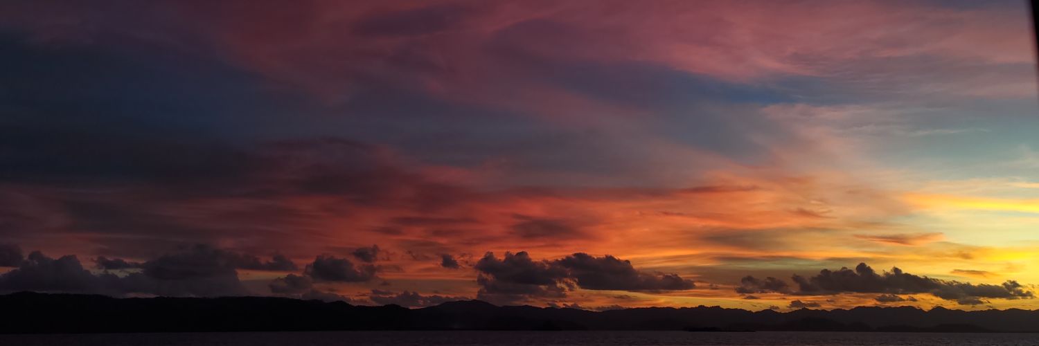 nayscapt's profile banner image