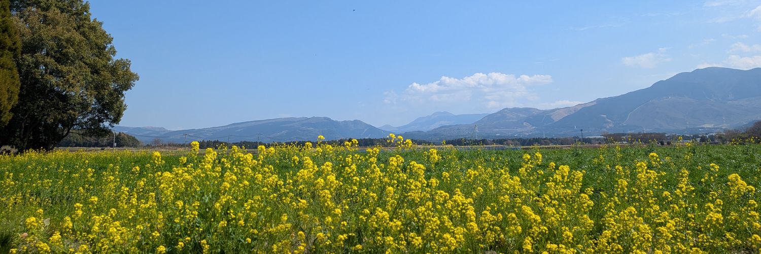 丸山まるる banner