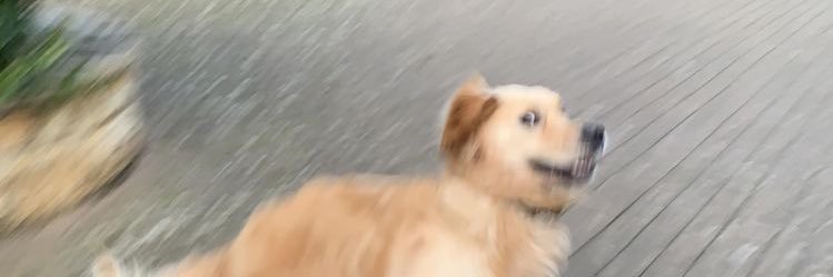 ppbg_jvk's profile banner image
