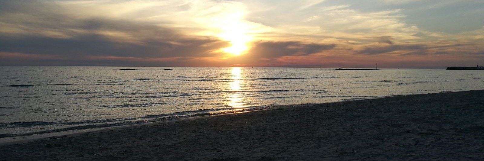 Simone Scattolin banner