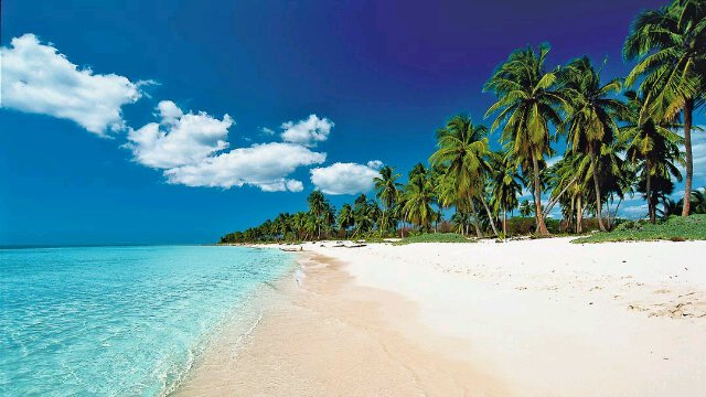 Dascha Polanco banner