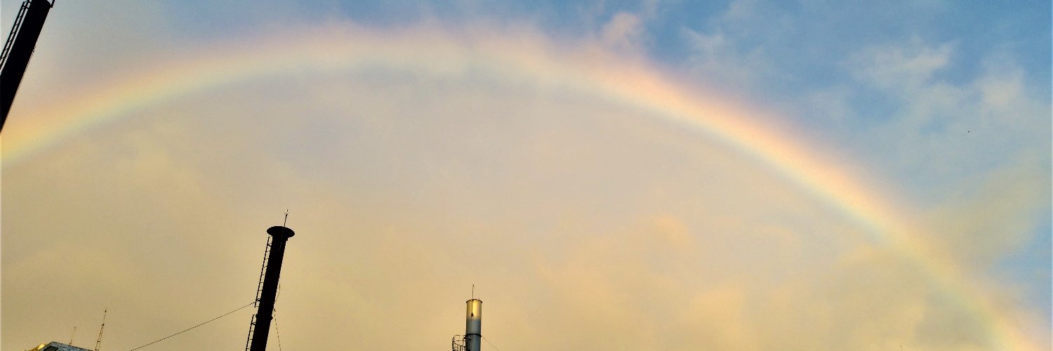 北極星🌟&風鈴草🍀 葉紫 banner