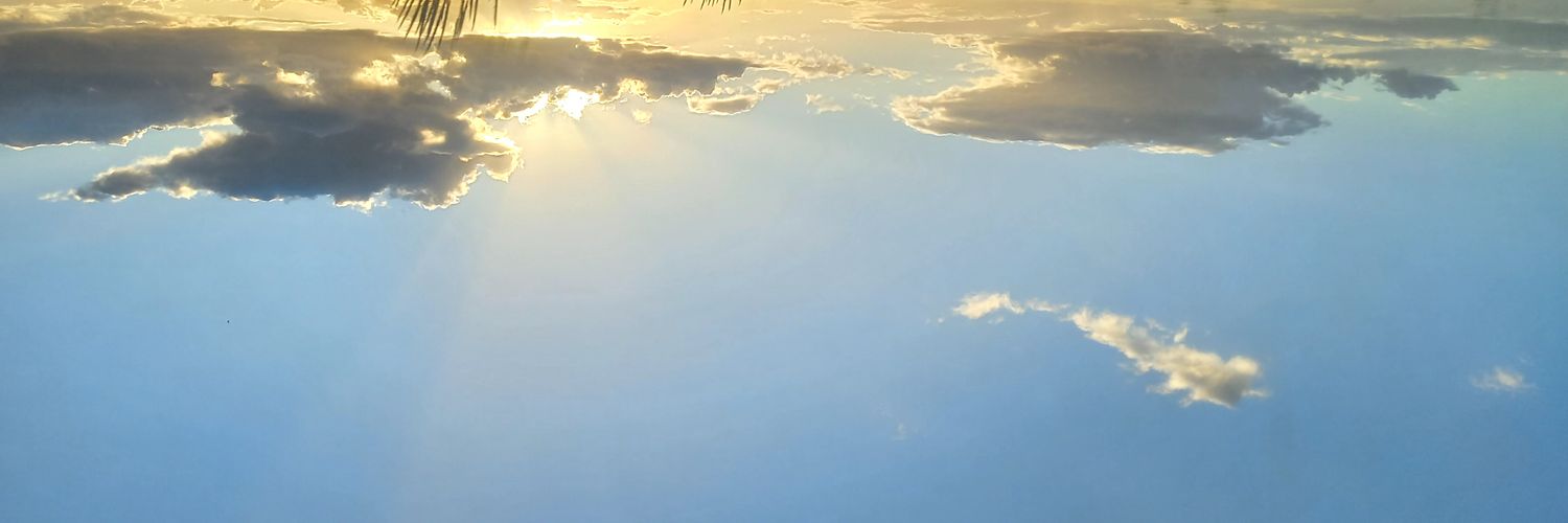 HMarocchi's profile banner image