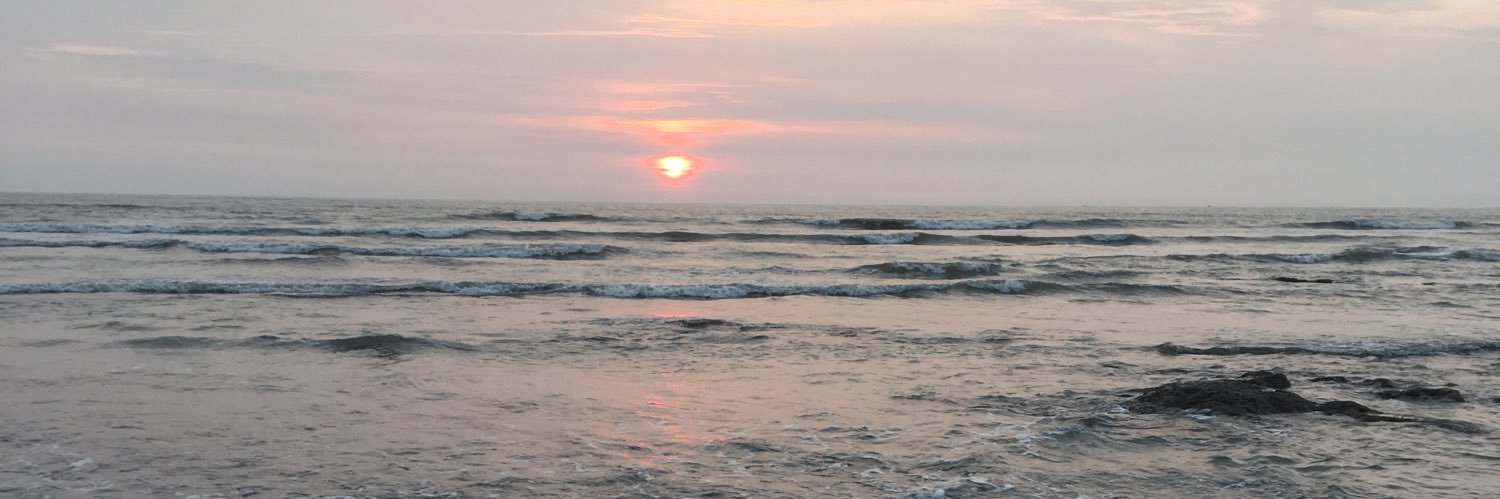 Saureen Adani banner