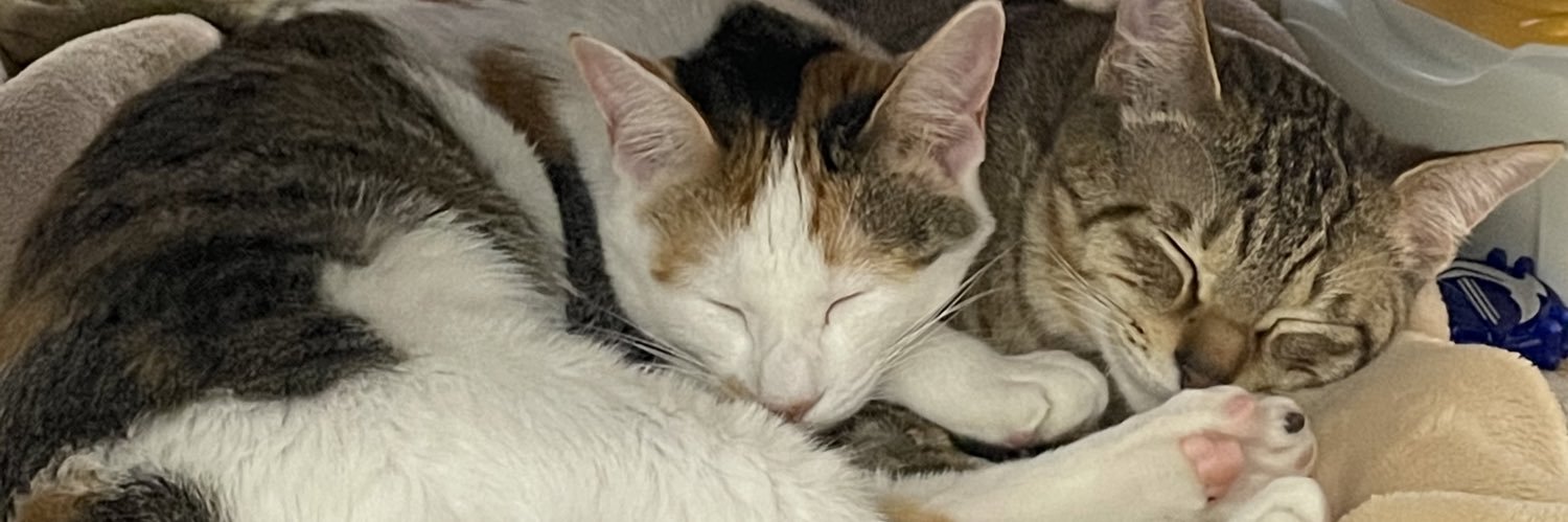 MateeeeLupin's profile banner image